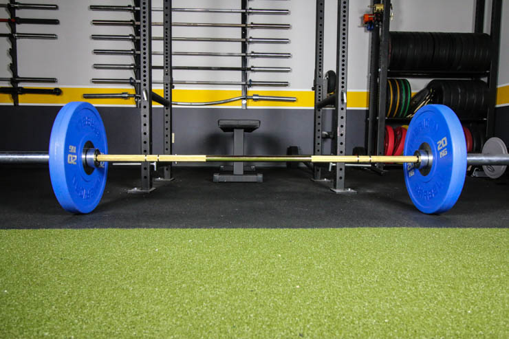a standard barbell in a commercial gym setting