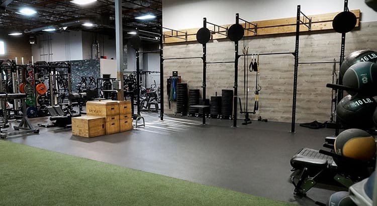 Gym Culture by Country: 5 Leading Fitness Markets Shaping Global Trends