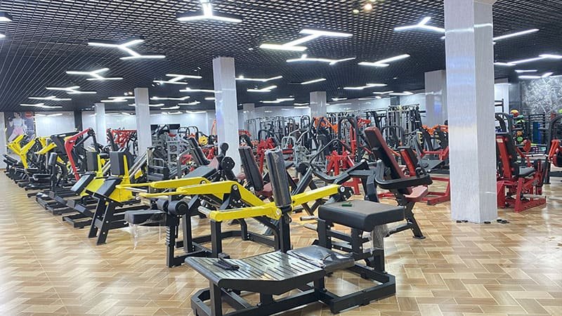 Machines or Free Weights for Beginners: The Ultimate Guide