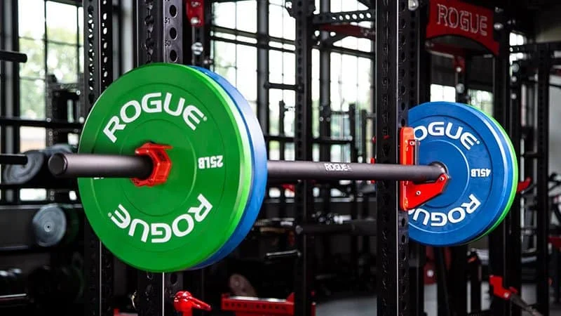rogue bumper plates training