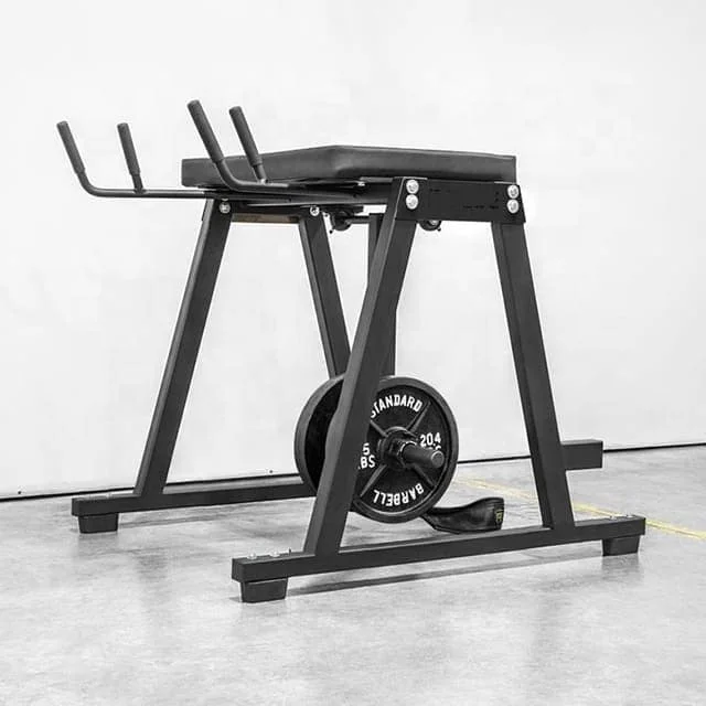 reverse hyperextension machine