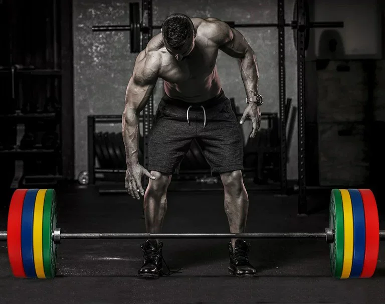 Color Rubber Bumper Plates