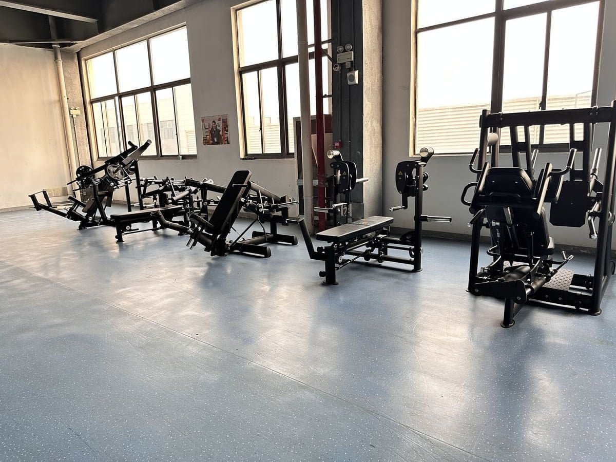 commercial gym equipment .jpg
