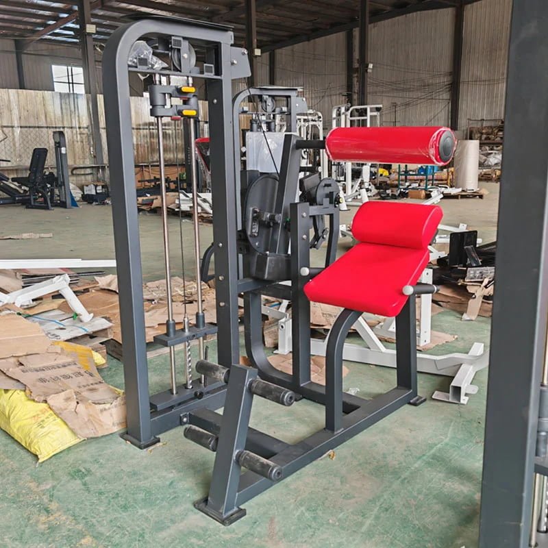the dual function (ab crunch back extension) machine