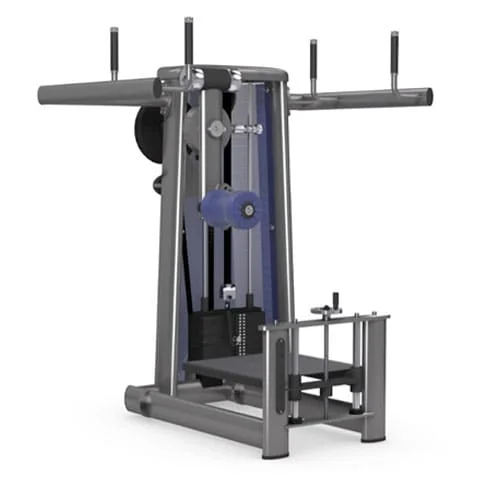 Selectorized Abdominal Crunch Machine with proper form